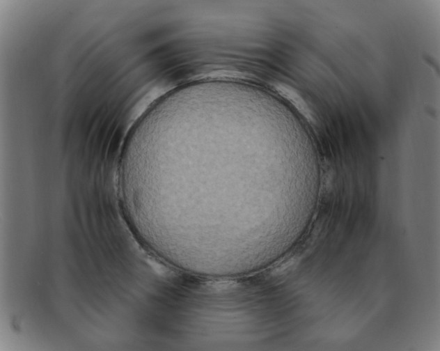 X0000091501282200709131843