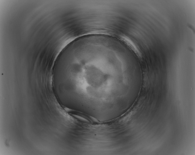 X0000091501284200709131843