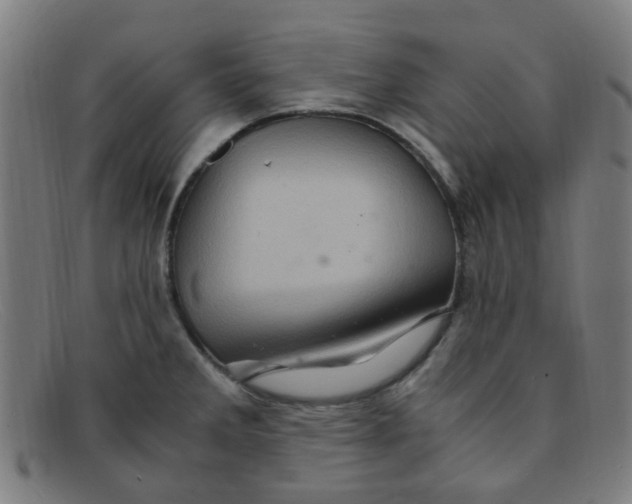 X0000091501285200709131843