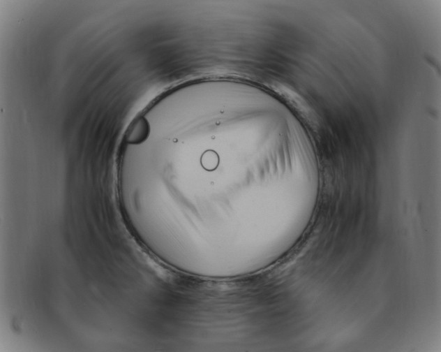 X0000091501286200709131843