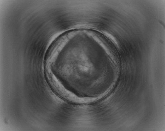 X0000091501288200709131843