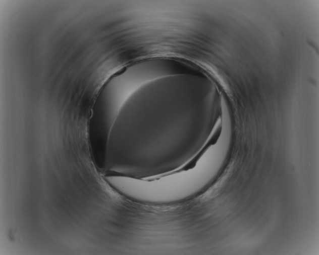 X0000091501289200709131843