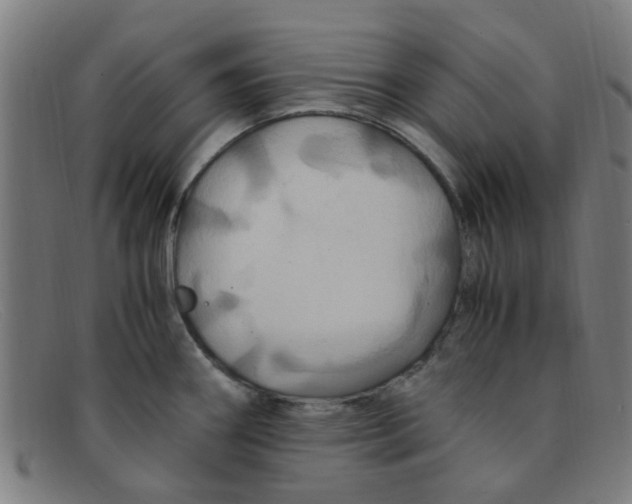 X0000091501290200709131843