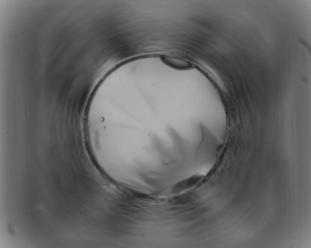 X0000091501291200709131843