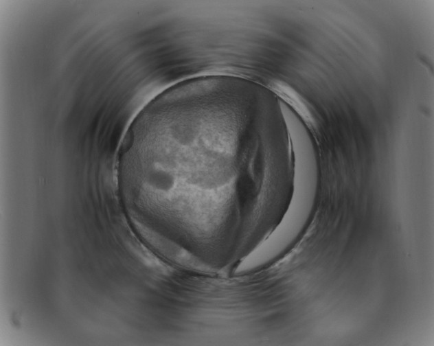 X0000091501292200709131843