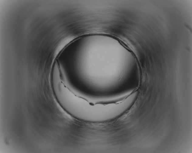 X0000091501293200709131843