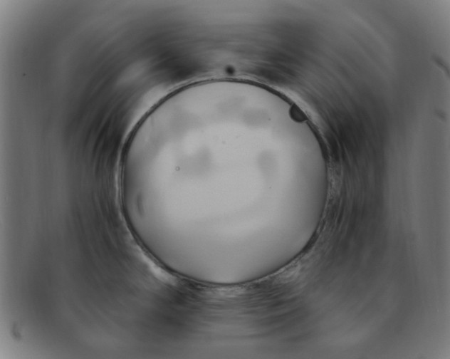 X0000091501294200709131843