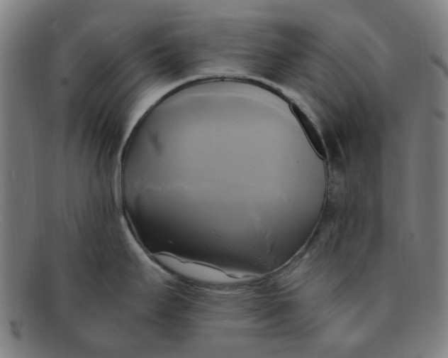 X0000091501295200709131843