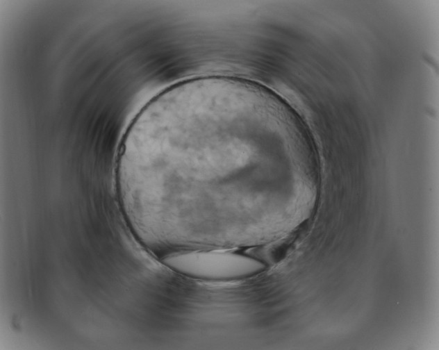 X0000091501296200709131843