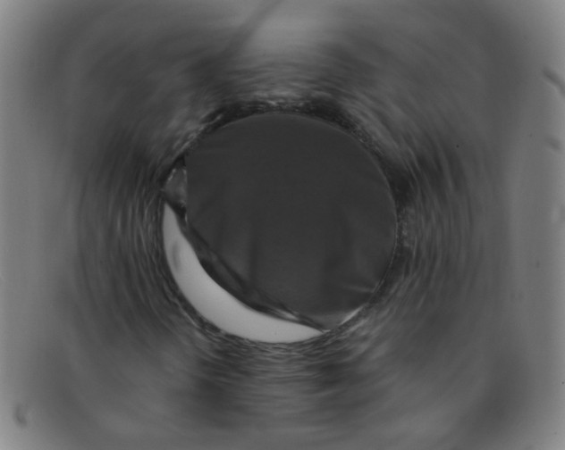 X0000091501298200709131842