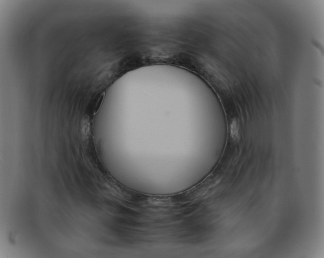 X0000091501299200709131842