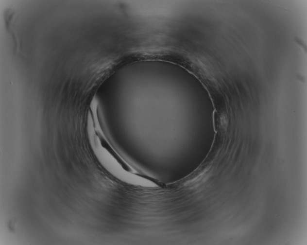 X0000091501300200709131842