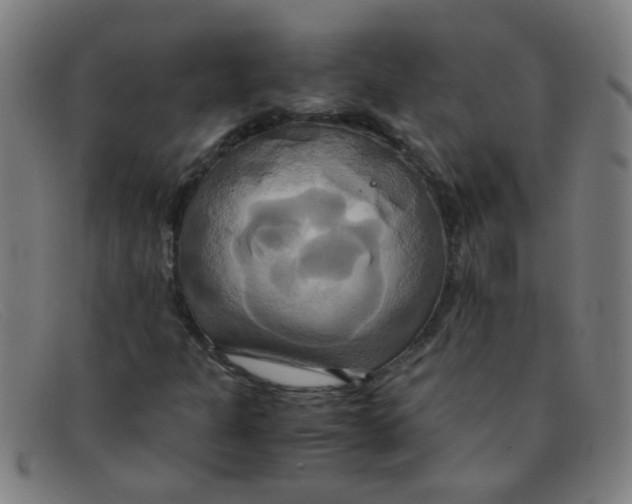 X0000091501301200709131842