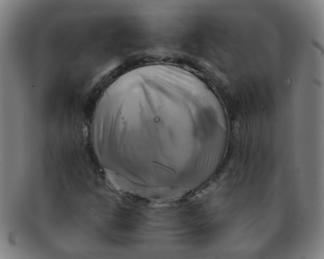 X0000091501302200709131842