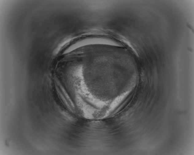 X0000091501304200709131842