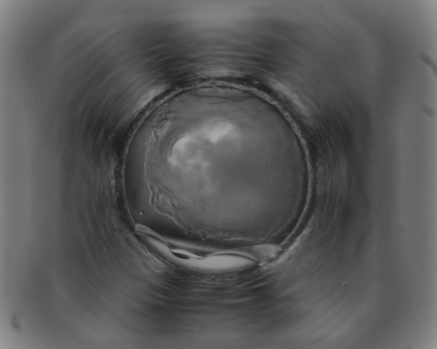 X0000091501305200709131842