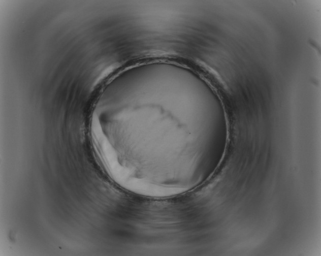 X0000091501306200709131842