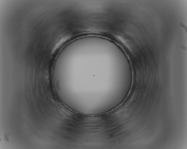 X0000091501307200709131842