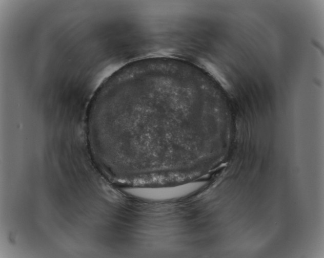 X0000091501308200709131842