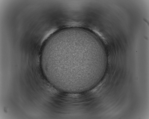 X0000091501309200709131842