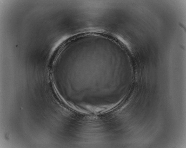 X0000091501310200709131842