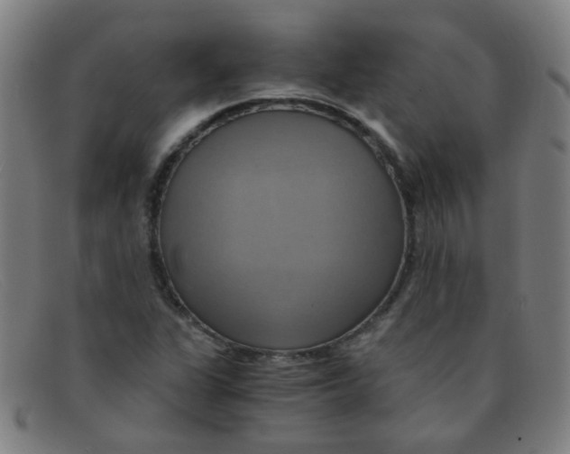 X0000091501311200709131842