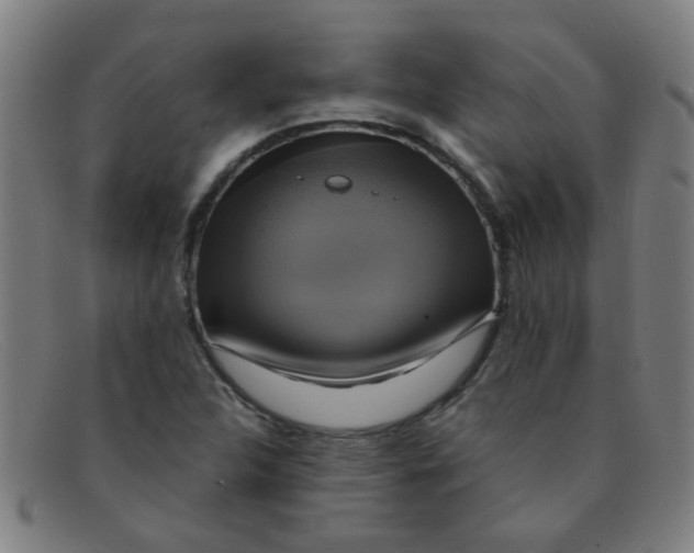 X0000091501312200709131842