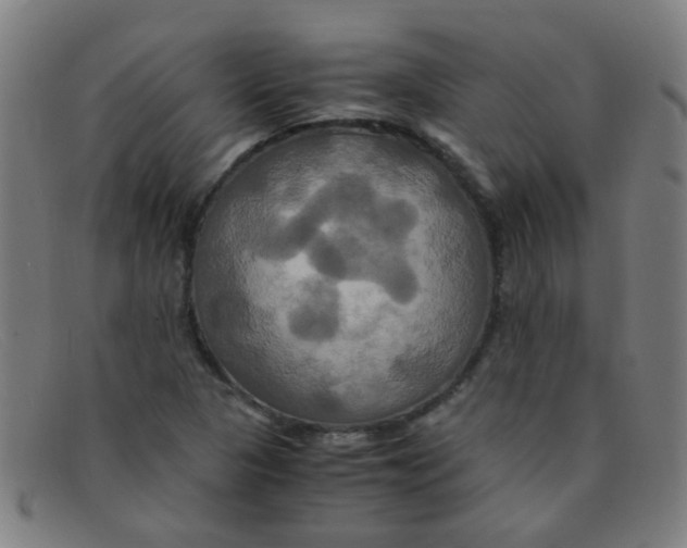 X0000091501313200709131842