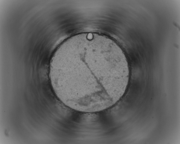 X0000091501314200709131842