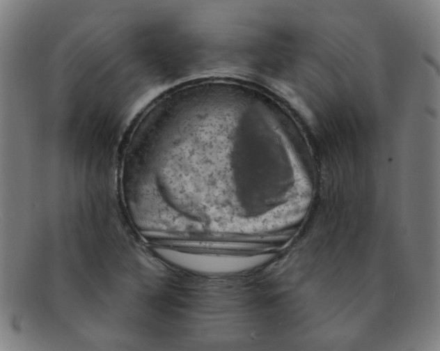 X0000091501316200709131842