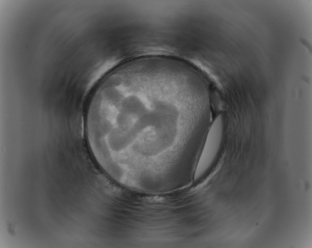 X0000091501317200709131842