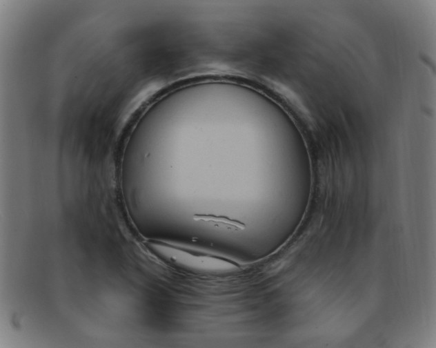 X0000091501318200709131842