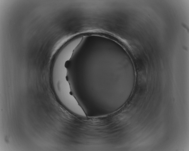 X0000091501319200709131842