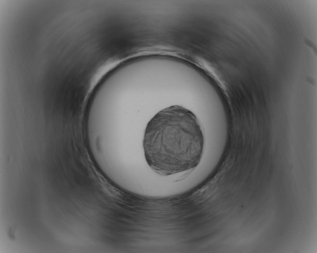 X0000091501320200709131842