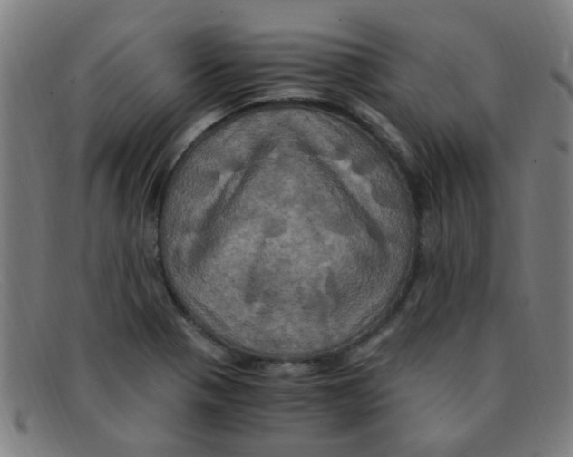 X0000091501321200709131842