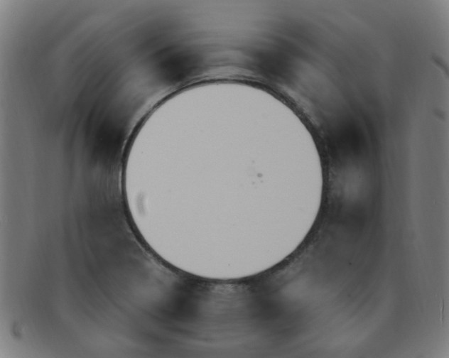 X0000091501322200709131842