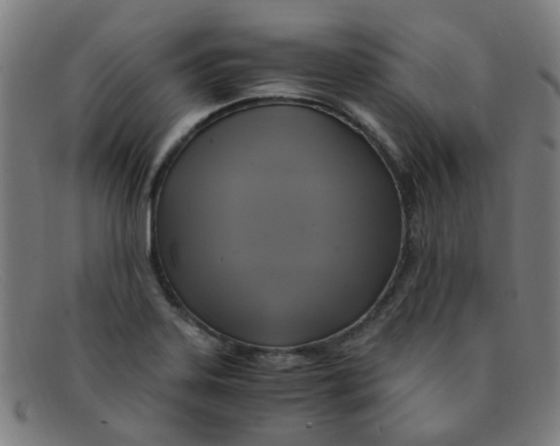 X0000091501323200709131842