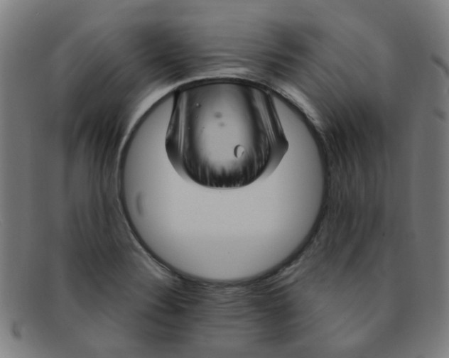 X0000091501324200709131842