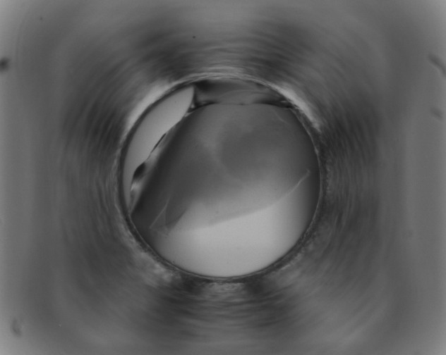 X0000091501325200709131842