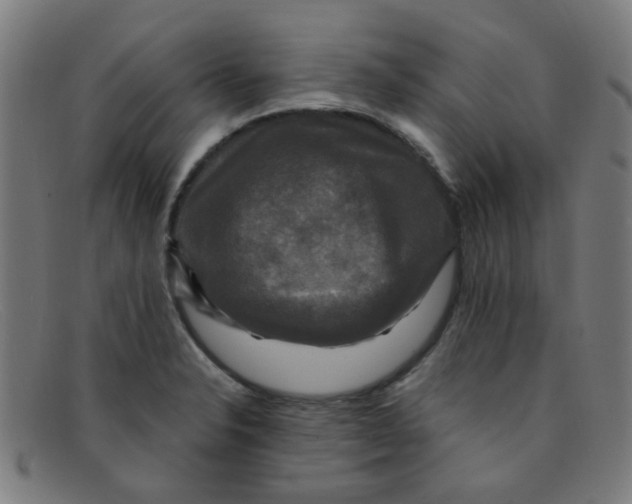 X0000091501326200709131842