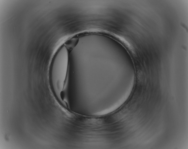 X0000091501327200709131842