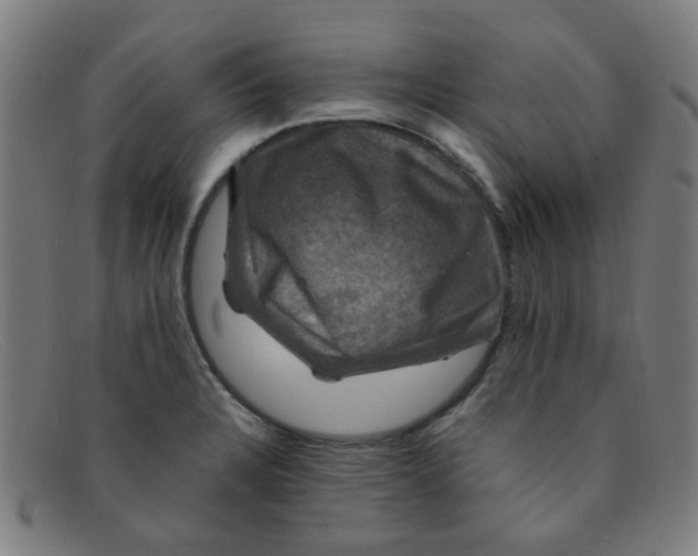 X0000091501328200709131842