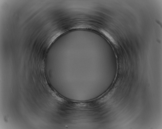 X0000091501329200709131842