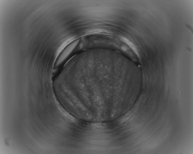 X0000091501330200709131842