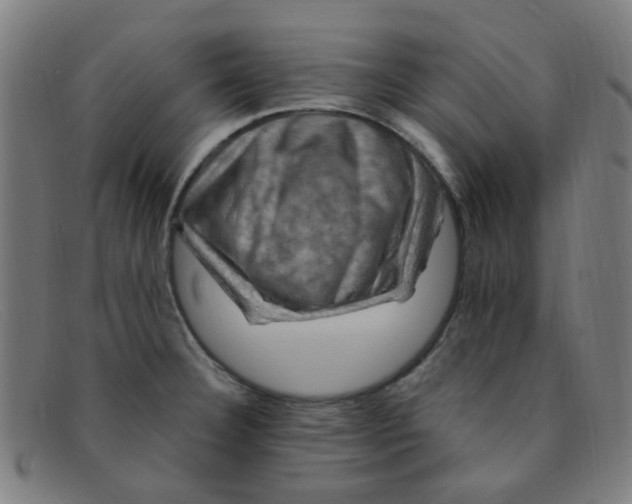 X0000091501332200709131843