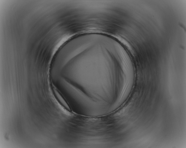 X0000091501333200709131843