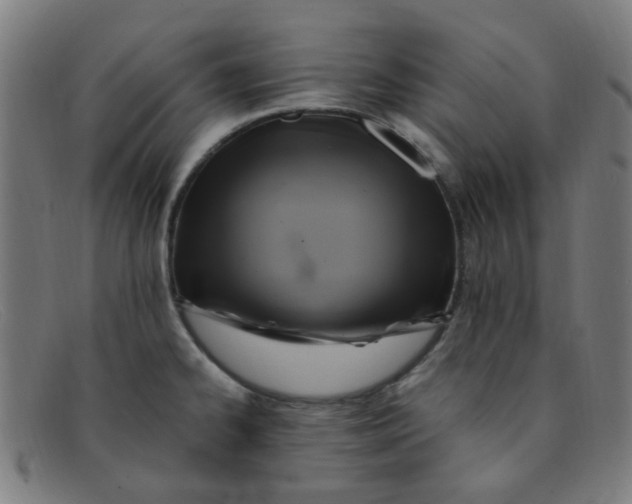 X0000091501334200709131843