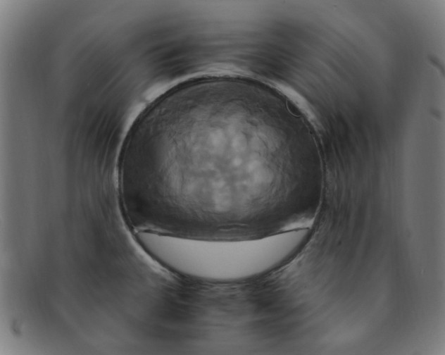 X0000091501335200709131843