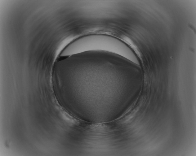 X0000091501336200709131843