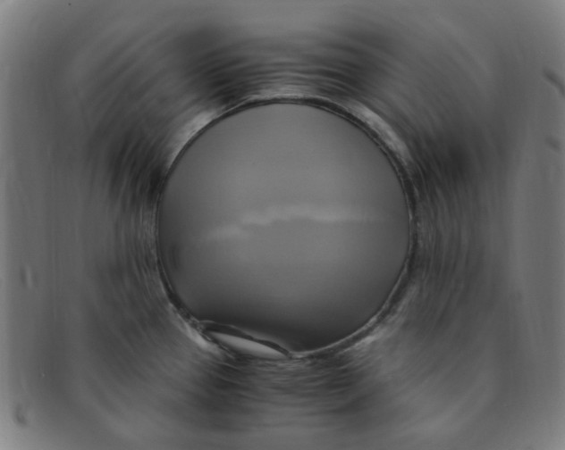 X0000091501337200709131843